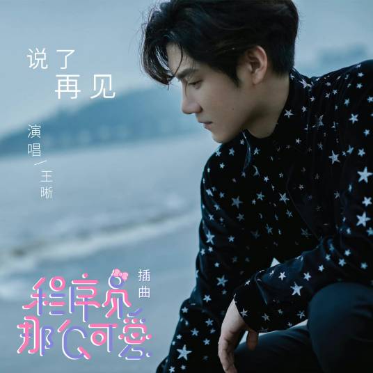 说了再见（王晰演唱《程序员那么可爱》插曲）