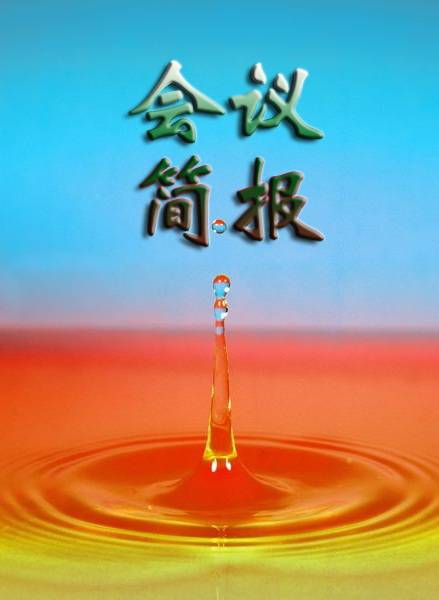 会议简报