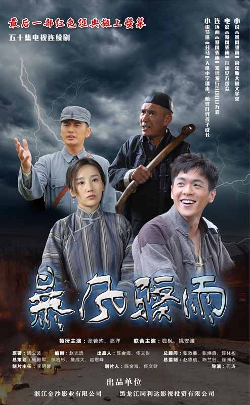 暴风骤雨（2015年何涛执导电视剧）