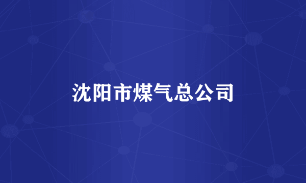 沈阳市煤气总公司