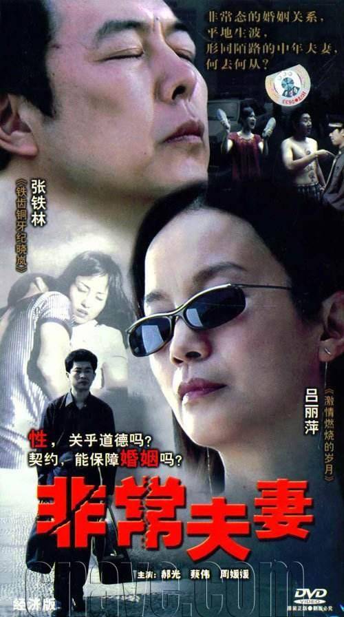 非常夫妻（2006年陈应岐执导的电视剧）