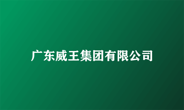 广东威王集团有限公司