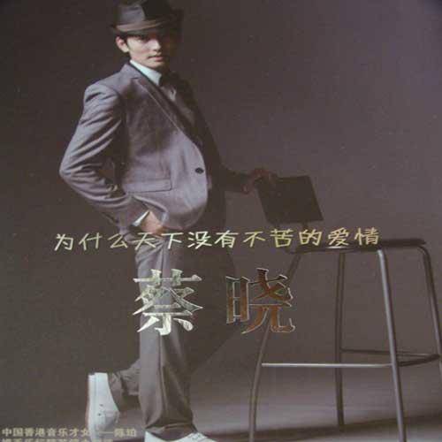 我依然爱着你（蔡晓演唱的歌曲）