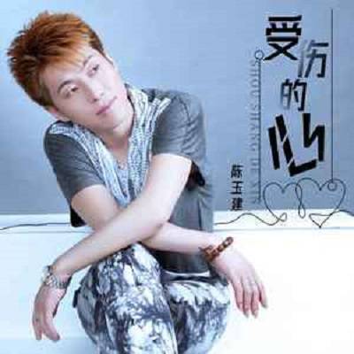 受伤的心（陈玉建演唱的歌曲）