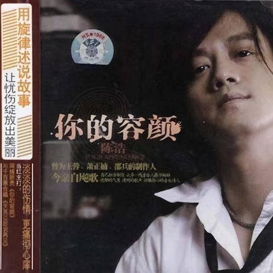 你的容颜（陈浩演唱歌曲）