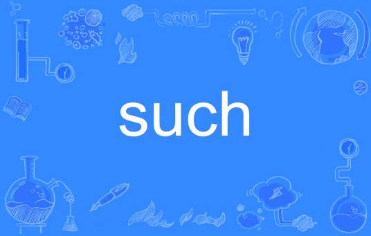 such（英文单词）