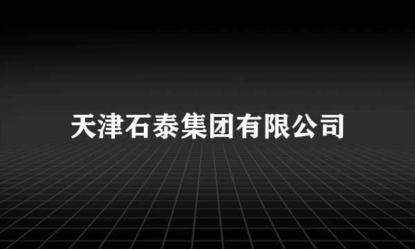 天津石泰集团有限公司