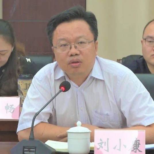 刘小康（中共中央党校（国家行政学院）教授）