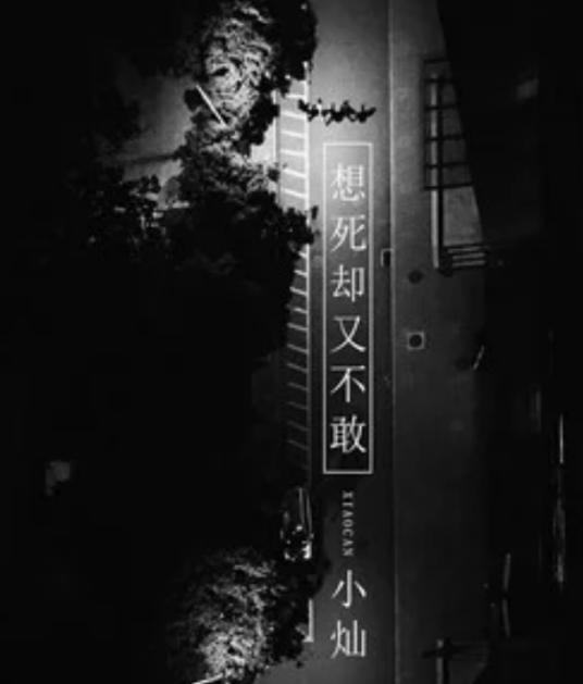 想死却又不敢（小灿演唱的歌曲）
