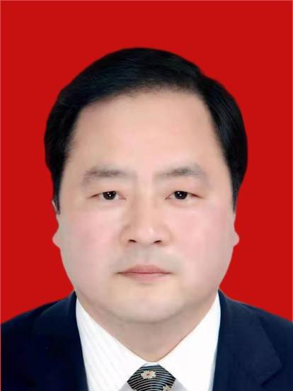 王日新（陕西省安康市白河县委书记）