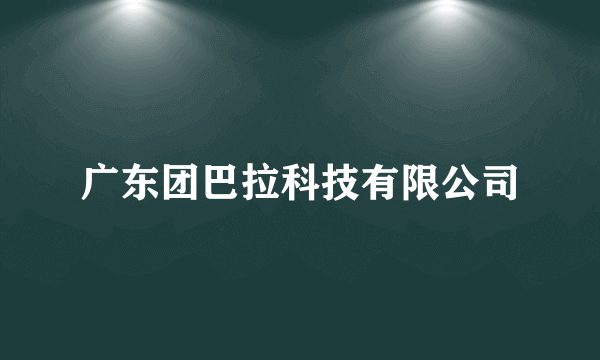 广东团巴拉科技有限公司