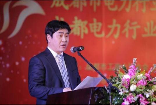 王德军（成都市电力行业商会执行会长）