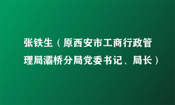 张铁生（原西安市工商行政管理局灞桥分局党委书记、局长）