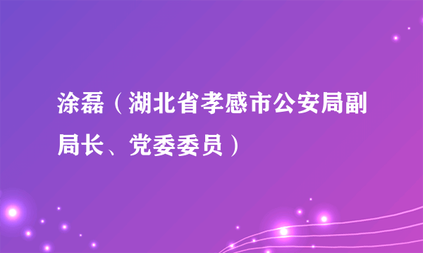 涂磊（湖北省孝感市公安局副局长、党委委员）