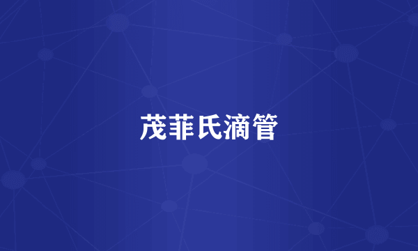 茂菲氏滴管