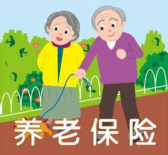 老年保险