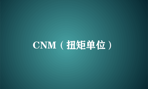 CNM（扭矩单位）