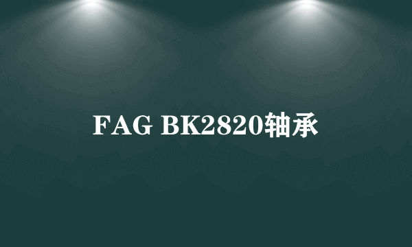 FAG BK2820轴承