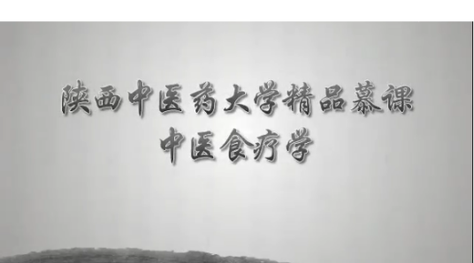 中医食疗学（陕西中医药大学建设的慕课）