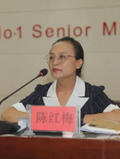 陈红梅（河北省张家口市教育局党组成员、副局长）