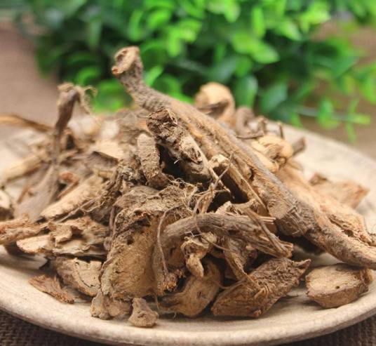 苎麻根（中药）