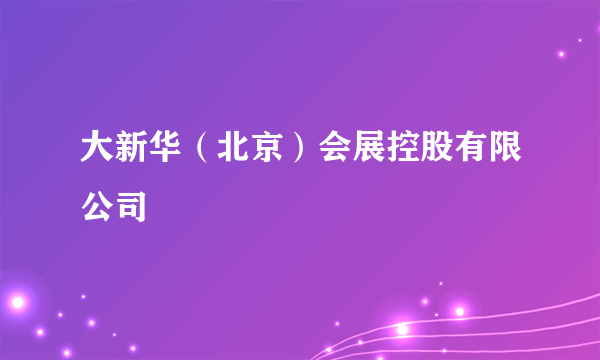 大新华（北京）会展控股有限公司