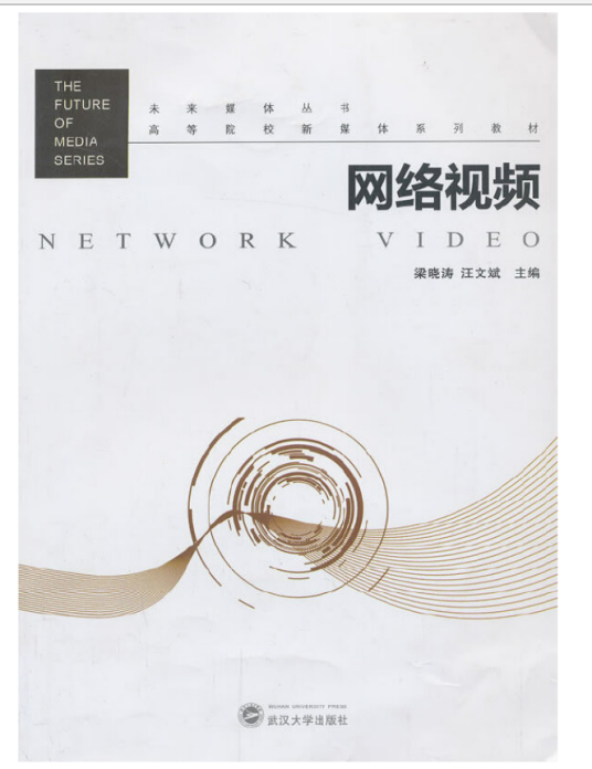 网络视频（2013年武汉大学出版社出版的图书）