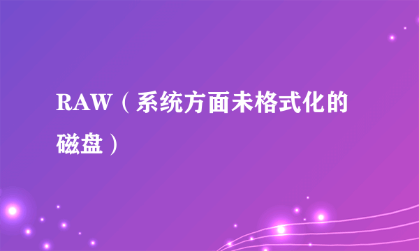 RAW（系统方面未格式化的磁盘）