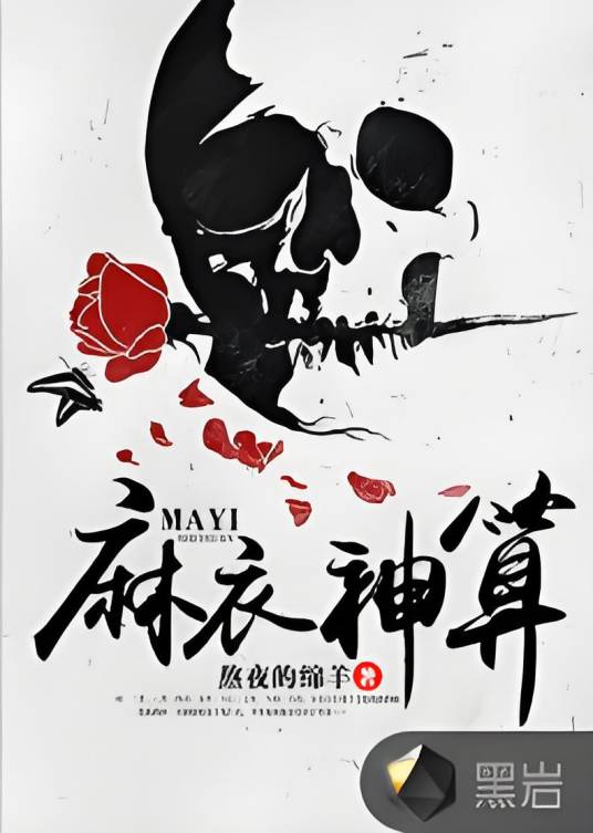 麻衣神算（黑岩网小说）