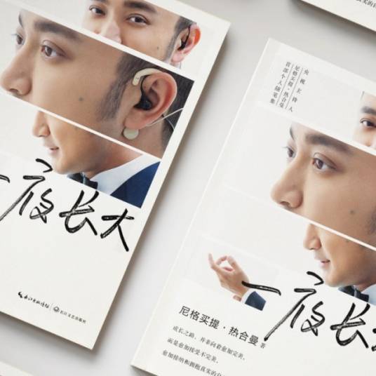 一夜长大（尼格买提·热合曼文学作品）