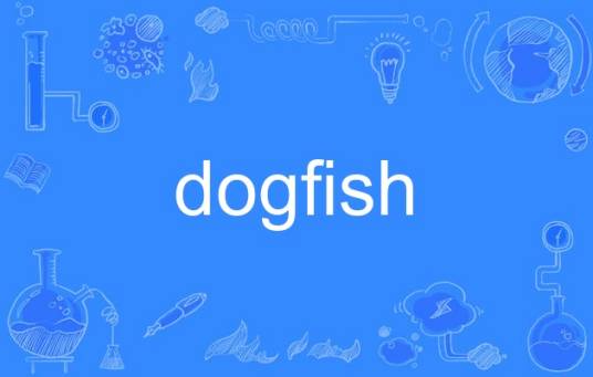 dogfish