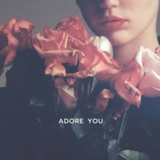 Adore You（麦莉·赛勒斯个人单曲）