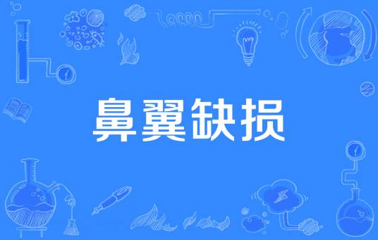 鼻翼缺损