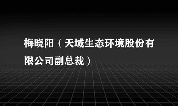 梅晓阳（天域生态环境股份有限公司副总裁）