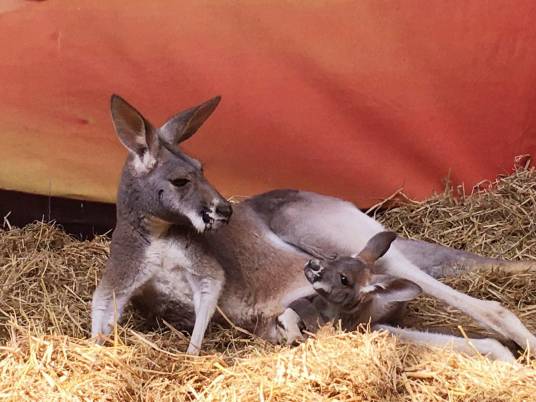 中山公园动物园