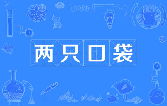 两只口袋