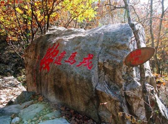 鹫峰山（福建省宁德市山脉）