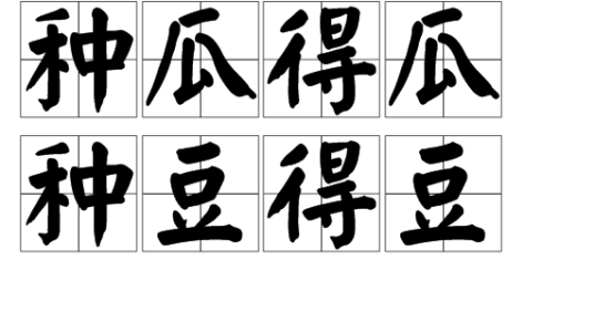 种瓜得瓜，种豆得豆