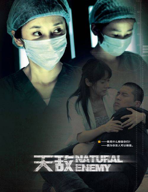 天敌（2010年王雷主演电视剧）