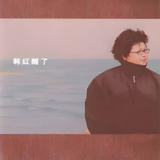 你不会回来