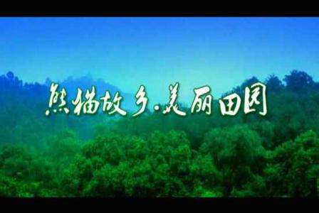 城市宣传片