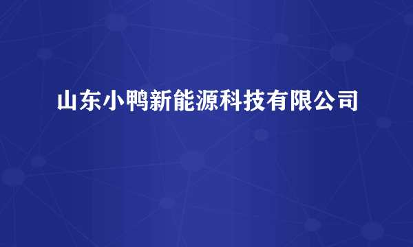 山东小鸭新能源科技有限公司