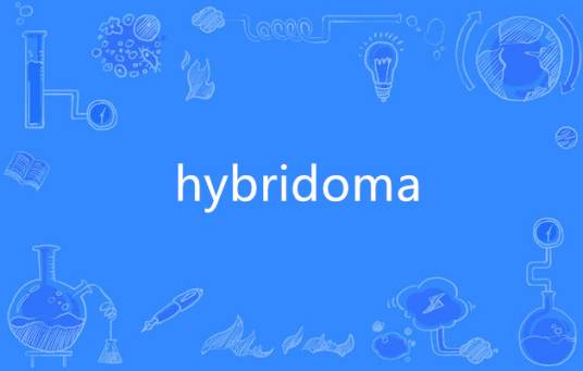 hybridoma