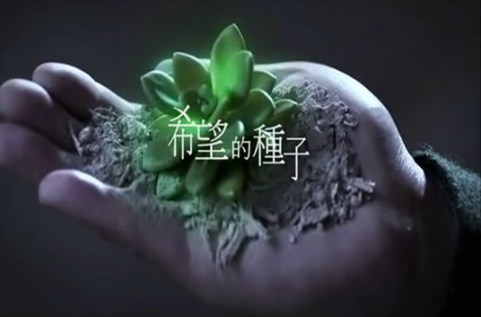 希望的种子（杨培安演唱歌曲）