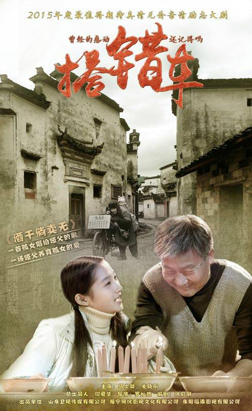 搭错车（2016年马少骅、关晓彤主演的电视剧）