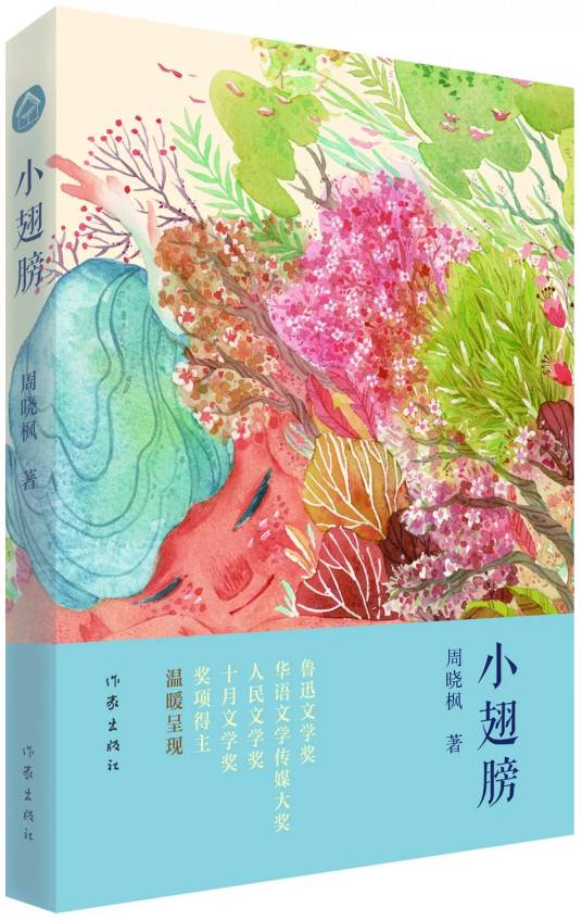 小翅膀（2018年作家出版社出版的图书）