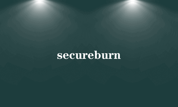 secureburn