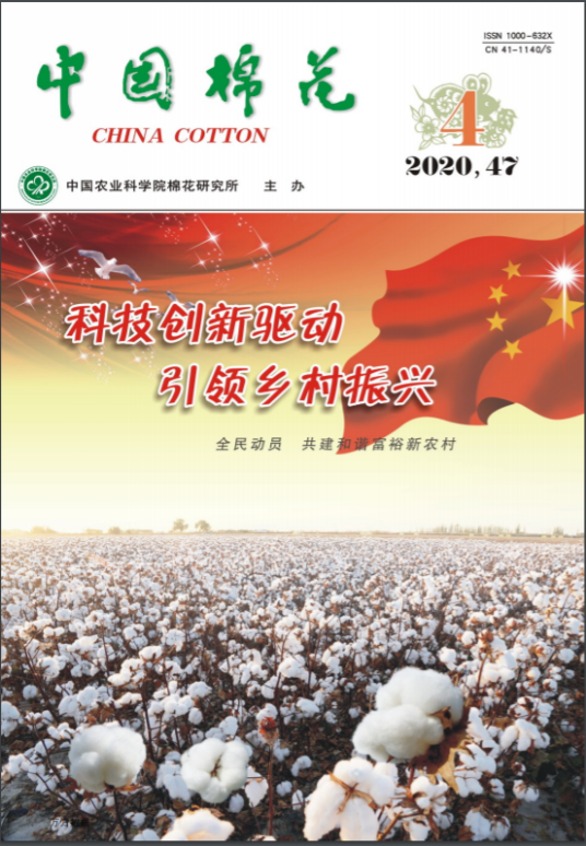 中国棉花