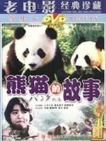 熊猫的故事（1988年新城卓执导的剧情电影）
