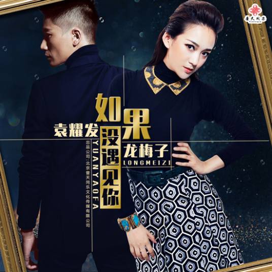如果没有遇见你（龙梅子演唱歌曲）